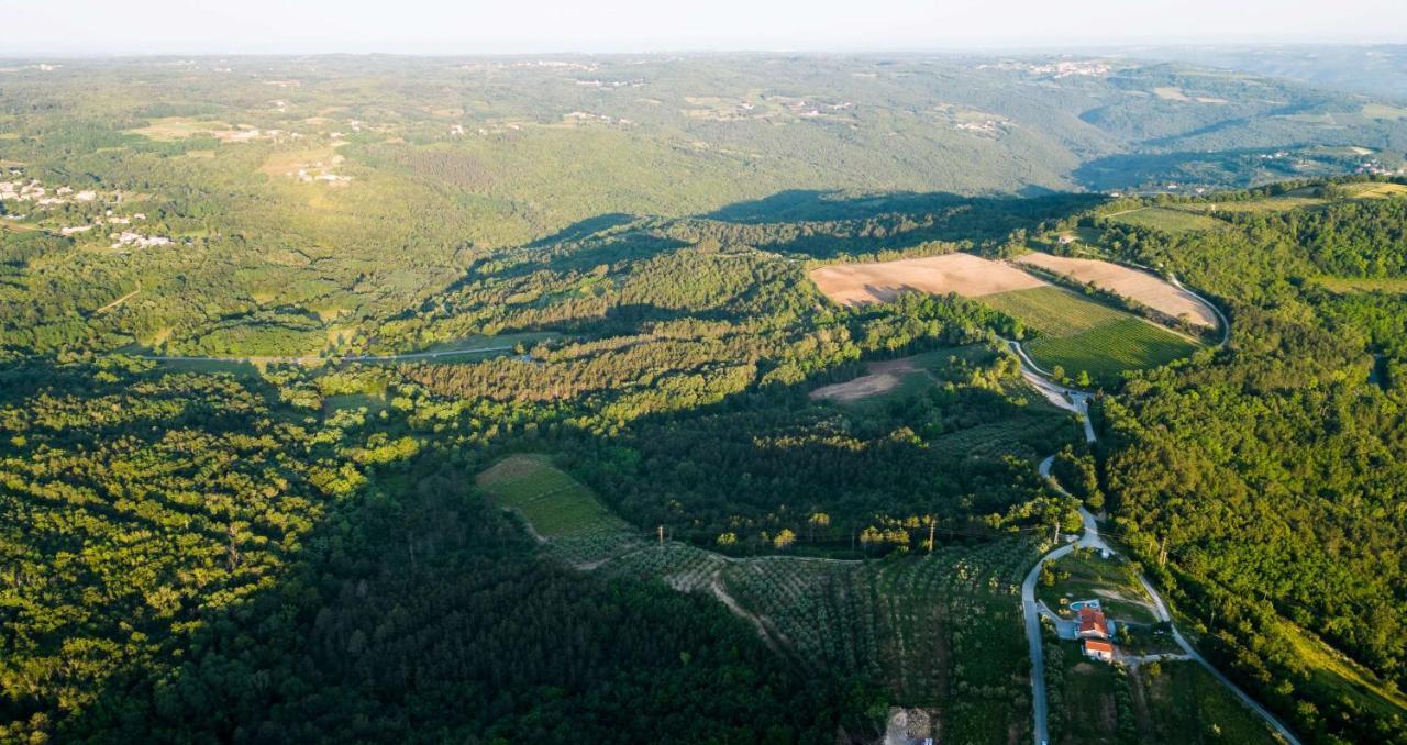 Villa Meloni Motovun Eksteriør billede